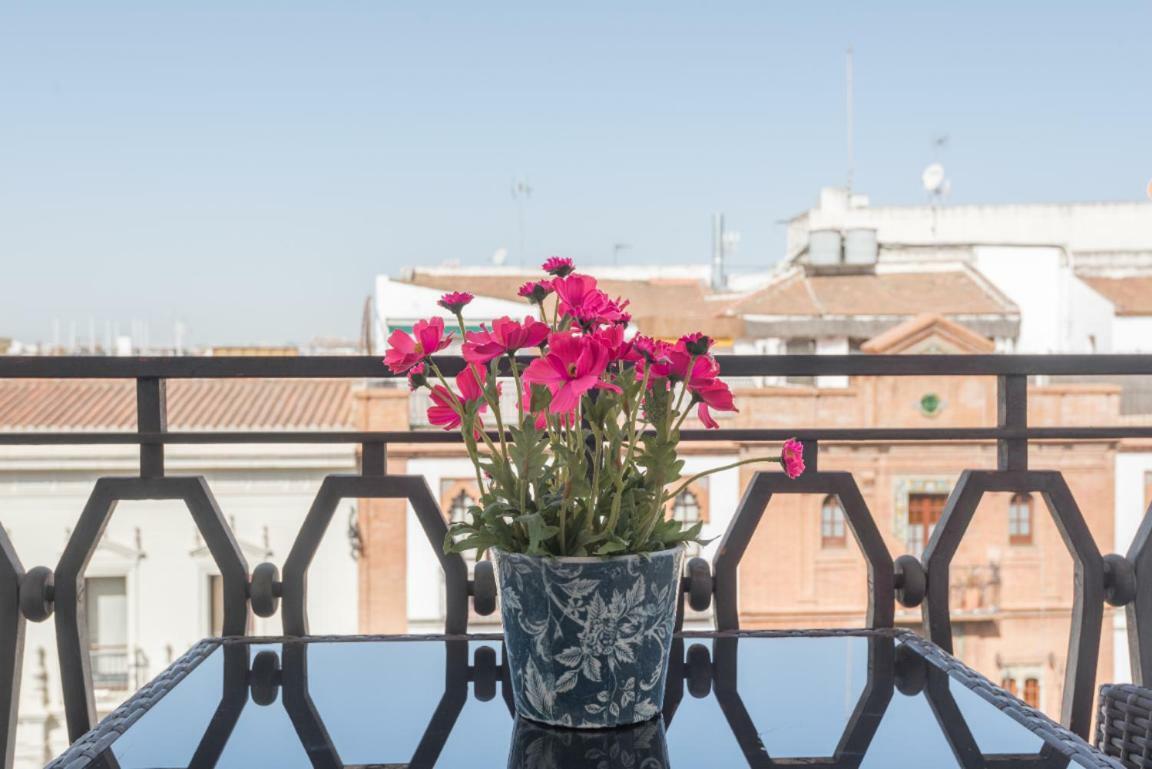 Behouse Avenida * Sevilla